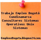 Trabajo Empleo Bogotá Cundinamarca Consultores Sistemas Operativos Unix Sistemas