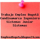 Trabajo Empleo Bogotá Cundinamarca Ingeniero Sistemas Junior Sistemas