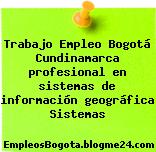 Trabajo Empleo Bogotá Cundinamarca profesional en sistemas de información geográfica Sistemas