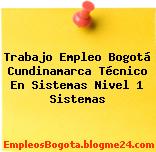 Trabajo Empleo Bogotá Cundinamarca Técnico En Sistemas Nivel 1 Sistemas
