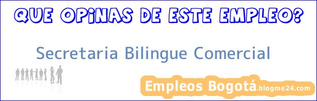 Secretaria Bilingue Comercial