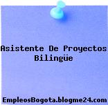 Asistente De Proyectos Bilingüe