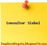 Consultor Siebel
