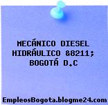 MECÁNICO DIESEL HIDRÁULICO &8211; BOGOTÁ D.C