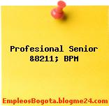 Profesional Senior &8211; BPM