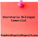 Secretaria Bilingue Comercial