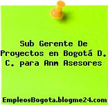Sub Gerente De Proyectos en Bogotá D. C. para Anm Asesores