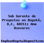 Sub Gerente de Proyectos en Bogotá, D.C. &8211; Anm Asesores