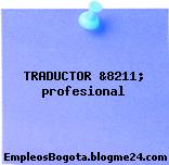 TRADUCTOR &8211; profesional