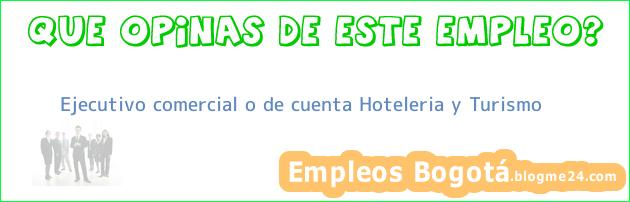 Ejecutivo comercial o de cuenta Hoteleria y Turismo