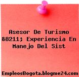 Asesor De Turismo &8211; Experiencia En Manejo Del Sist