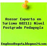 Asesor Experto en Turismo &8211; Nivel Postgrado Pedagogía