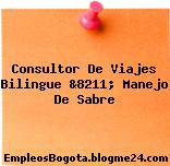 Consultor De Viajes Bilingue &8211; Manejo De Sabre