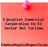 Ejecutivo Comercial Corporativo En El Sector Del Turismo