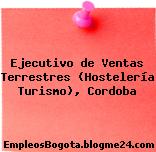Ejecutivo de Ventas Terrestres (Hostelería Turismo), Cordoba