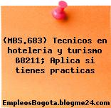 (MBS.683) Tecnicos en hoteleria y turismo &8211; Aplica si tienes practicas
