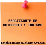 PRACTICANTE DE HOTELERIA Y TURISMO