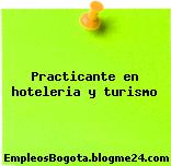 Practicante en hoteleria y turismo
