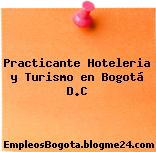 Practicante Hoteleria y Turismo en Bogotá D.C