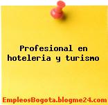 Profesional en hoteleria y turismo