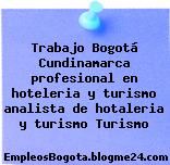 Trabajo Bogotá Cundinamarca profesional en hoteleria y turismo analista de hotaleria y turismo Turismo