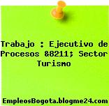 Trabajo : Ejecutivo de Procesos &8211; Sector Turismo
