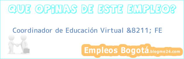 Coordinador de Educación Virtual &8211; FE