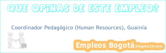 Coordinador Pedagógico (Human Resources), Guainía