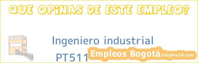 Ingeniero industrial | PT511