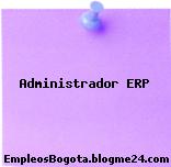 Administrador ERP
