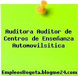 Auditora Auditor de Centros de Enseñanza Automovilsitica