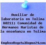 Auxiliar de laboratorio en Tolima &8211; Comunidad de Hermanos Maristas de la enseñanza en Tolima