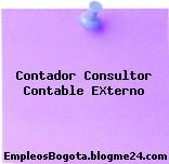 Contador Consultor Contable EXterno