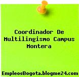 Coordinador De Multilingismo Campus Montera