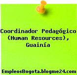 Coordinador Pedagógico (Human Resources), Guainía