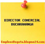 DIRECTOR COMERCIAL BUCARAMANGA