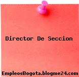 Director De Seccion