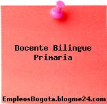 Docente Bilingue Primaria