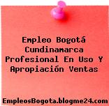 Empleo Bogotá Cundinamarca Profesional En Uso Y Apropiación Ventas