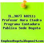 IL.307] &8211; Profesor Hora Ctedra Programa Contadura Publica Sede Bogota