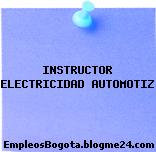 INSTRUCTOR ELECTRICIDAD AUTOMOTIZ