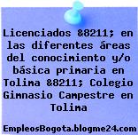 Licenciados &8211; en las diferentes áreas del conocimiento y/o básica primaria en Tolima &8211; Colegio Gimnasio Campestre en Tolima