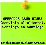 OPERADOR GRÚA RISES (Servicio al cliente), Santiago en Santiago