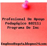 Profesional De Apoyo Pedagógico &8211; Programa De Inc