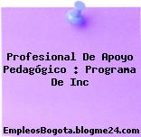 Profesional De Apoyo Pedagógico : Programa De Inc