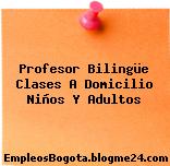 Profesor Bilingüe Clases A Domicilio Niños Y Adultos