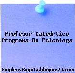 Profesor Catedrtico Programa De Psicologa