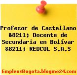 Profesor de Castellano &8211; Docente de Secundaria en Bolívar &8211; REDCOL S.A.S