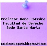 Profesor Hora Catedra Facultad de Derecho Sede Santa Marta