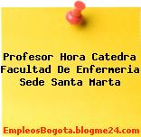 Profesor Hora Catedra Facultad De Enfermeria Sede Santa Marta